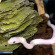 Полоз крысиный белый - Pantherophis obsoletus lindheimeri var. leucistic Полоз крысиный белый - Pantherophis obsoletus lindheimeri var. leucistic