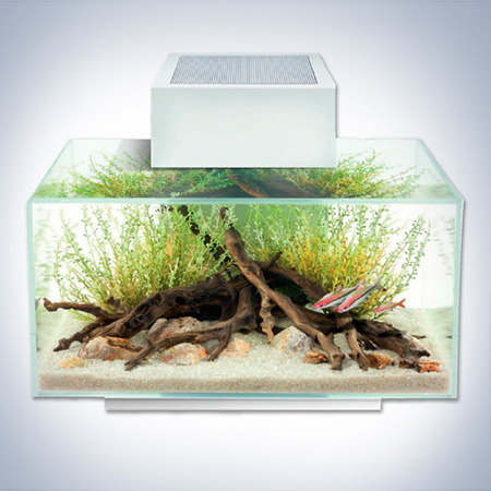 Аквариум Fluval EDGE