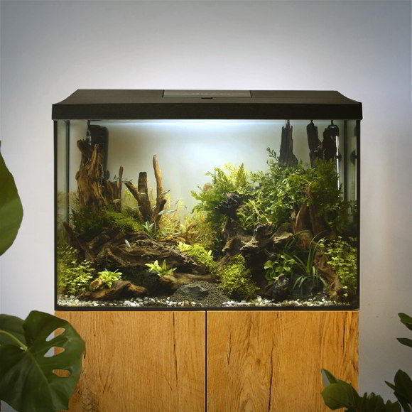 Аквариум Aquael LEDDY XL D&N 60 2.0